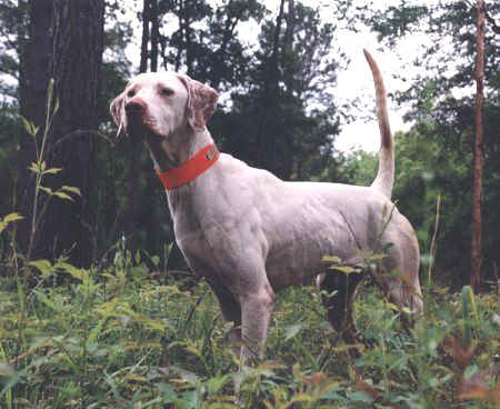 2004 National Champion Miller's On Line